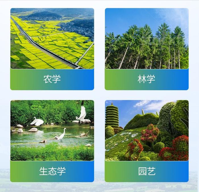 三五结合秋意浓是什么生肖,警惕虚假宣传,详细解答解释落实